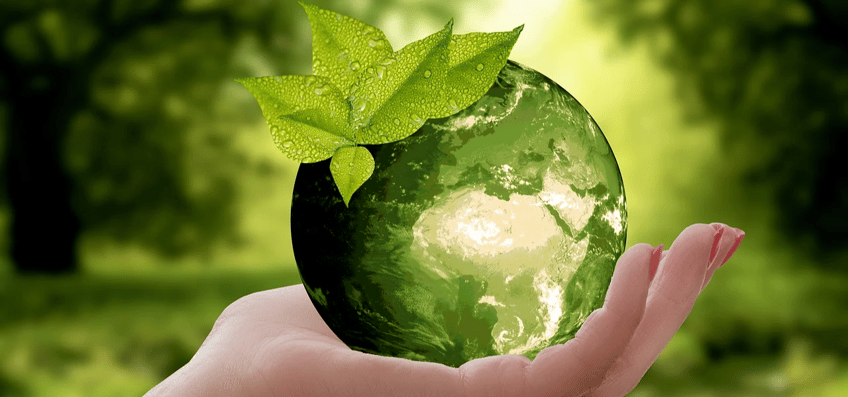 ISO-14001-environmental-management-system-ems-faqs-thumbnail