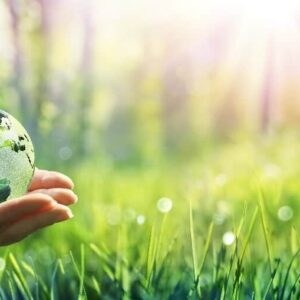 Hand Holding Globe to symbolize environmental management