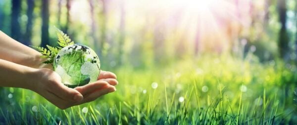 Hand Holding Globe to symbolize environmental management