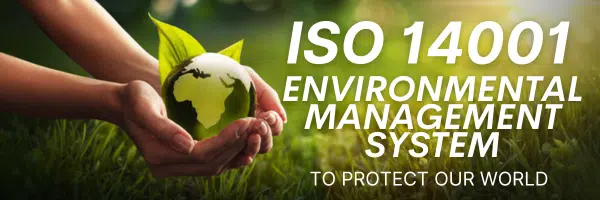 Image of a hand holding a globe with sprouts around it symbolizing environmental management