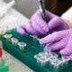 Importance of Laboratory Management and ISO 17025 Accreditation